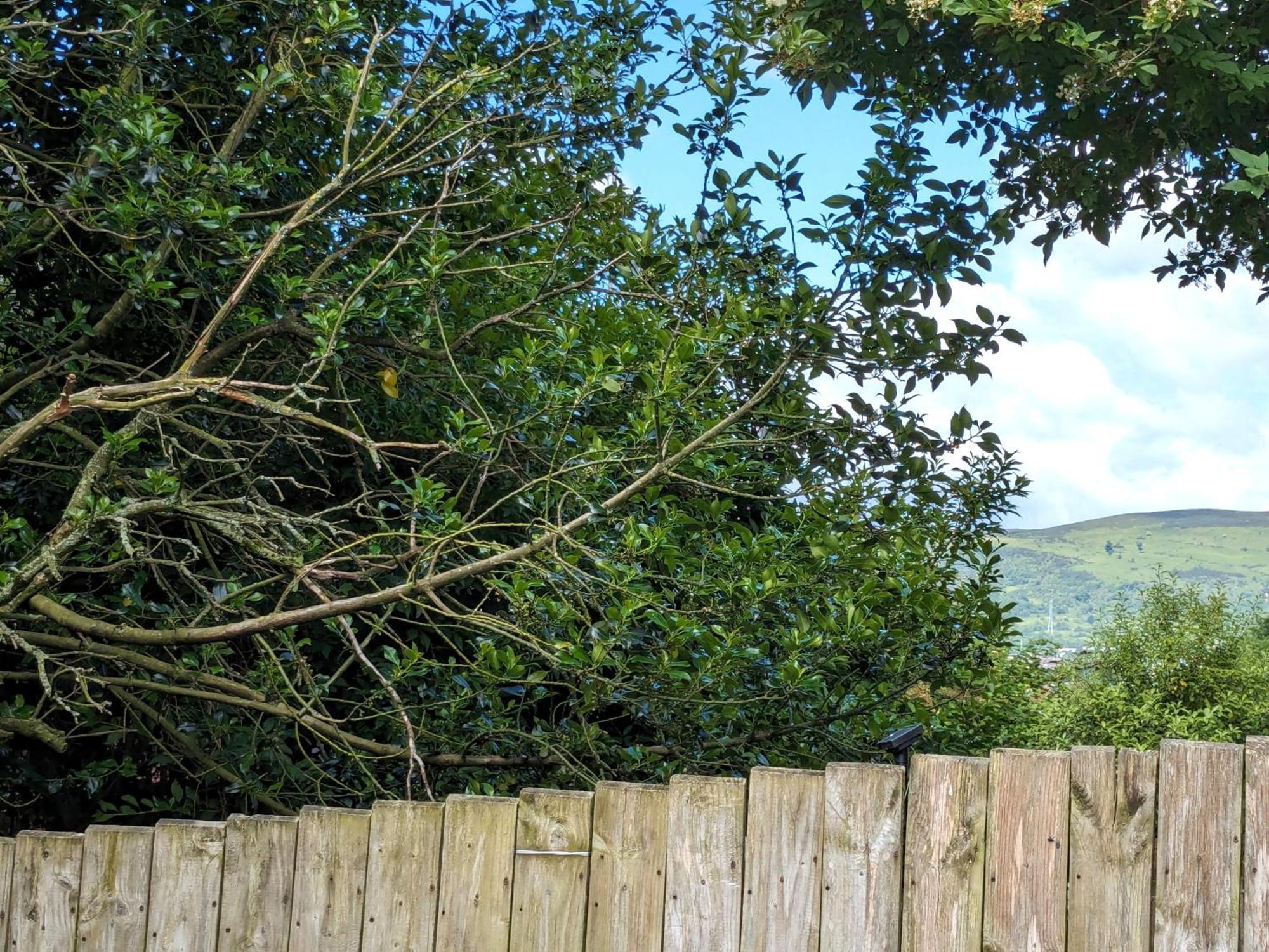 Heart Of Belfast With Private Garden Villa Bagian luar foto